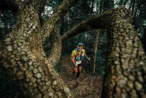 BIB: 
                            <button type="button" onclick="openModal(25668953)" class="btn btn-primary btn-sm float-right btn-popup" data-toggle="modal" data-target=".modal-high-quality">
                        <i class="fas fa-shopping-cart"></i> Add to Cart
                    </button>
                                            <button type="button" onclick="isThisMe(25668953, true)" class="btn btn-success btn-sm float-right btn-popup btn-isme hidden" data-toggle="tooltip" data-placement="bottom" title="นี่คือรูปของคุณใช่ไหม คลิกที่นี่เพื่อเอาเข้าอัลบั้ม">
                        <i class="fas fa-plus"></i> Add to album
                    </button>
                    <button type="button" onclick="isThisMe(25668953, false)" class="btn btn-warning btn-sm float-right btn-popup btn-isnotme hidden">
                        <i class="fas fa-ban"></i> Remove from album
                    </button>